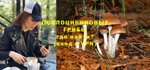 spice Соль-Илецк