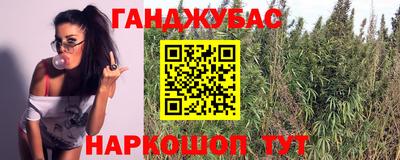 прущие грибы Комсомольск-на-Амуре