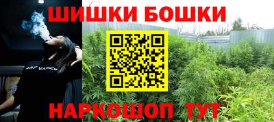 прущие грибы Комсомольск-на-Амуре