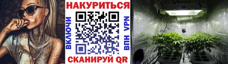 Канабис конопля  купить   Углич 